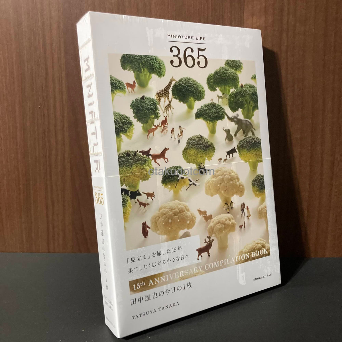 Dehogallery Art Book Background Works