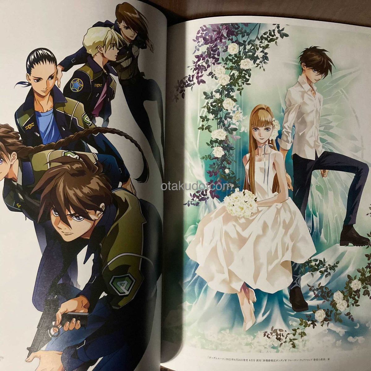 Asagi Sakura - Gundam Wing
