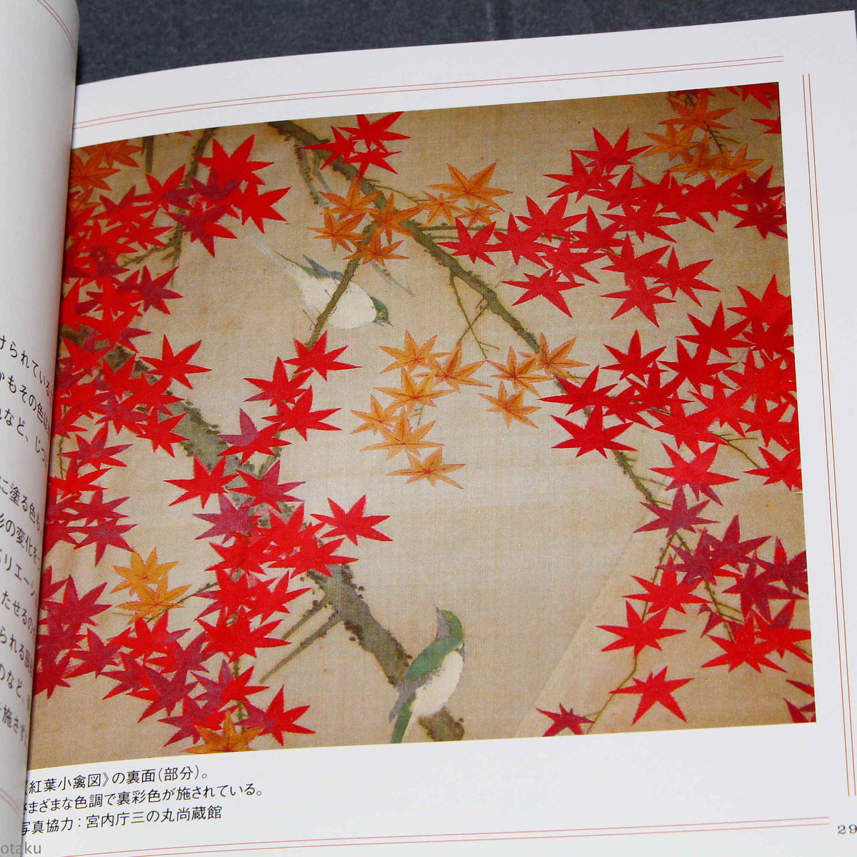 Ito Jakuchu Five Colors - Japan Art Book