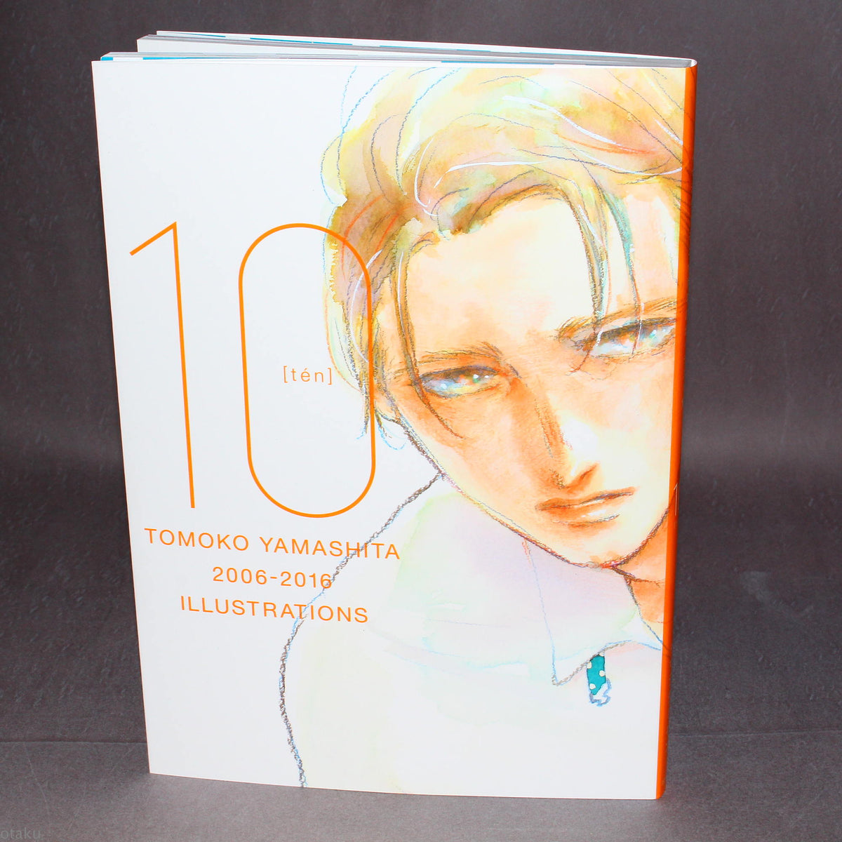 Tomoko Yamashita - 10th Anniversary Collected Illustrations