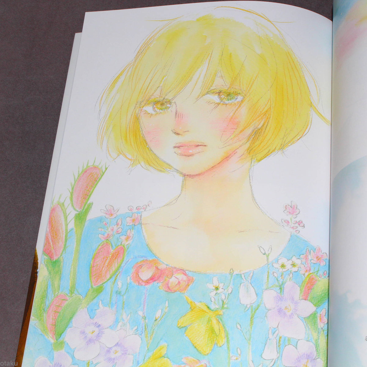 Tomoko Yamashita - 10th Anniversary Collected Illustrations