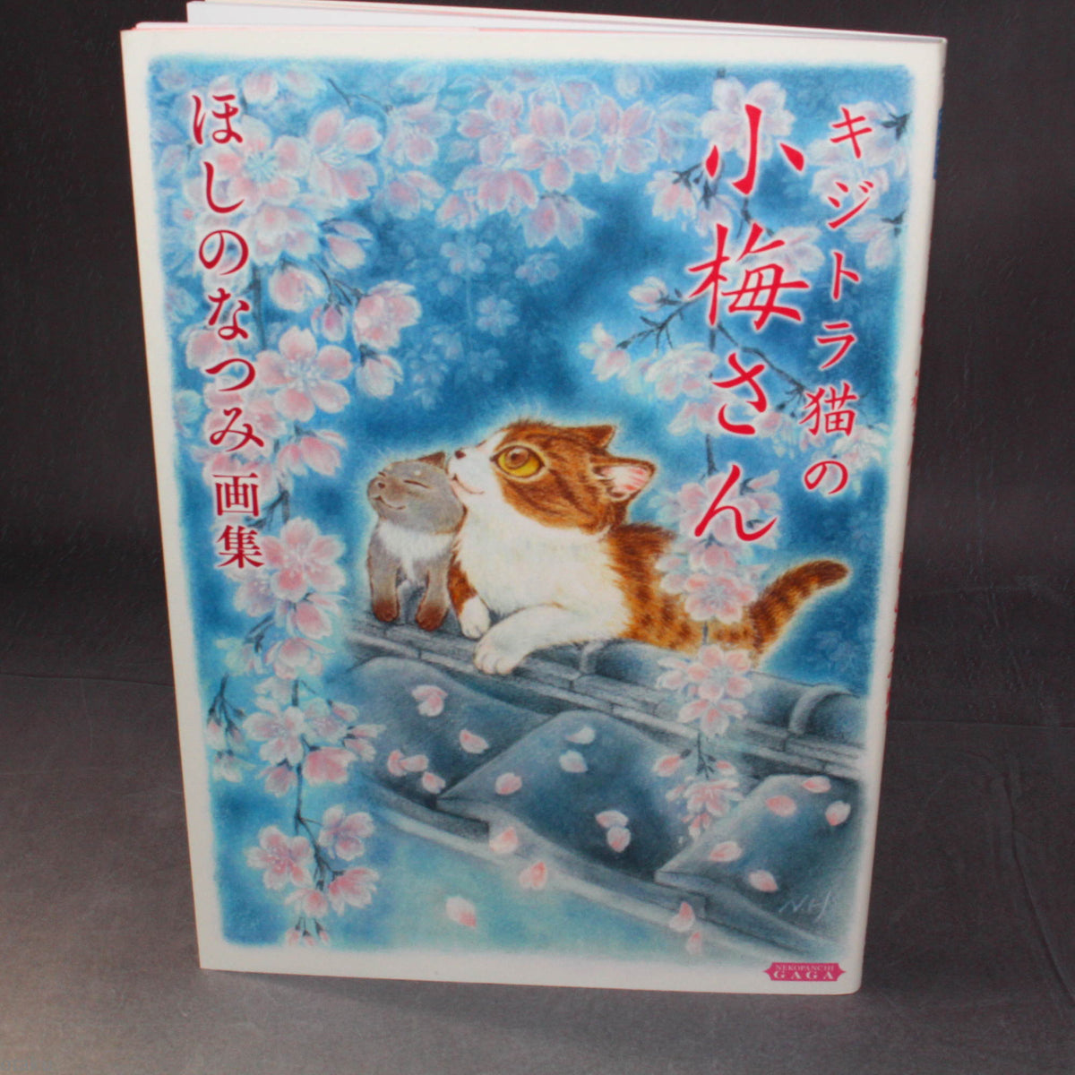 Natsumi Hoshino Artworks: Kijitora Neko no Koume-san