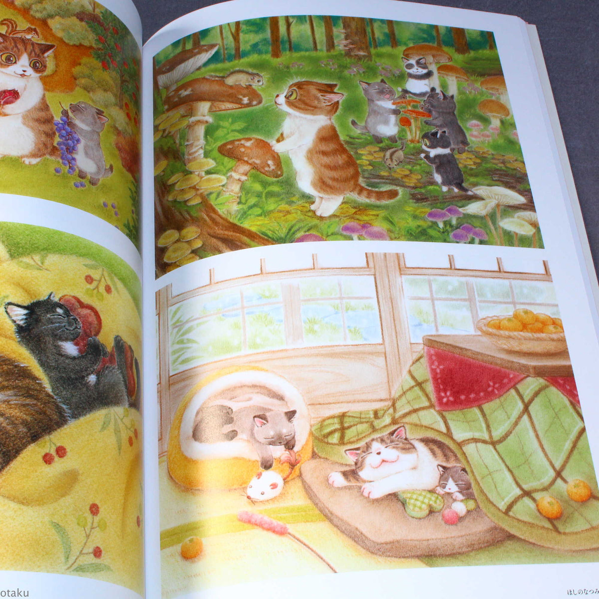 Natsumi Hoshino Artworks: Kijitora Neko no Koume-san