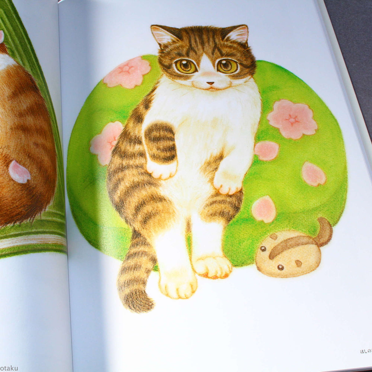 Natsumi Hoshino Artworks: Kijitora Neko no Koume-san