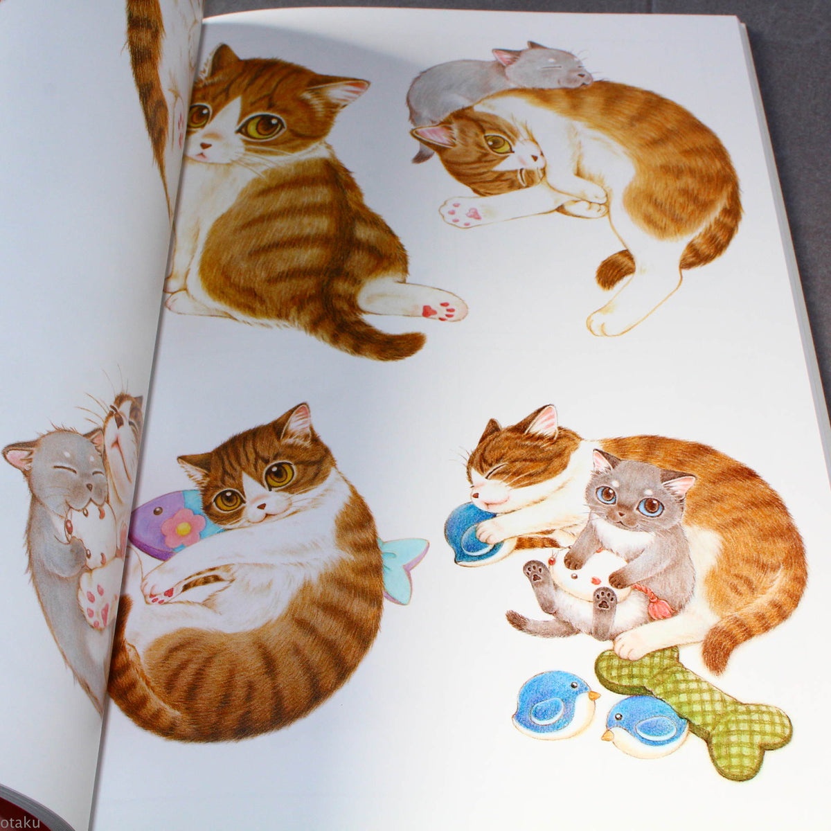 Natsumi Hoshino Artworks: Kijitora Neko no Koume-san