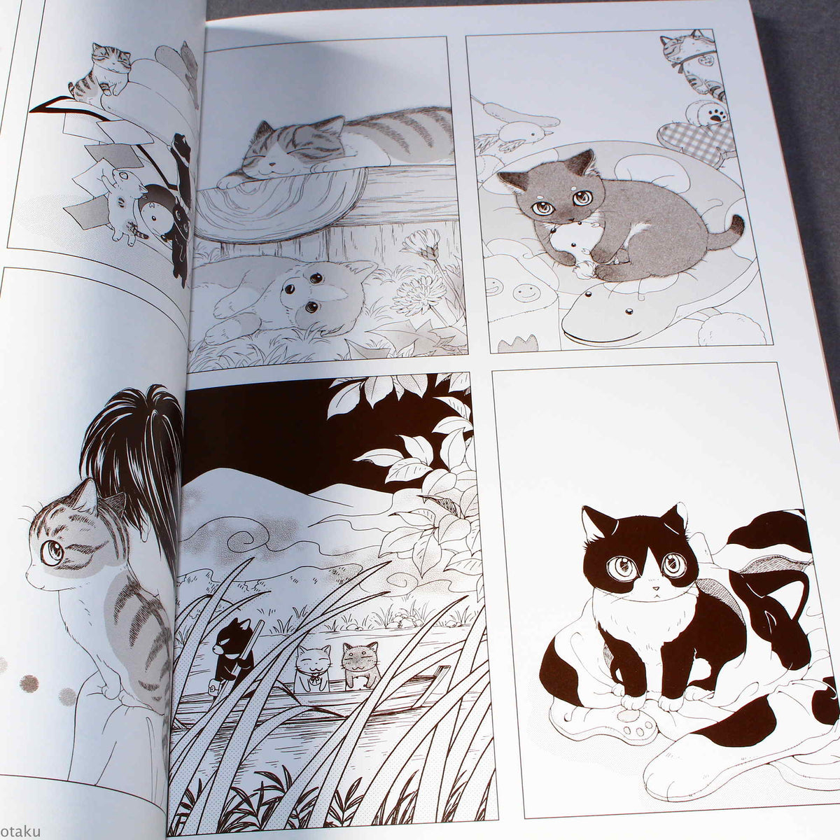 Natsumi Hoshino Artworks: Kijitora Neko no Koume-san