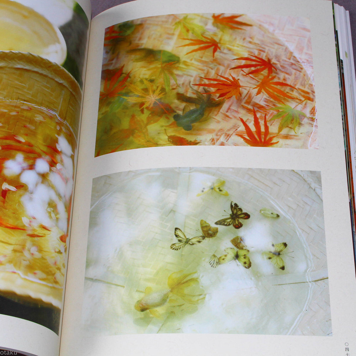 Riusuke Fukahori - Kingyo no Uta - Goldfish Art Book
