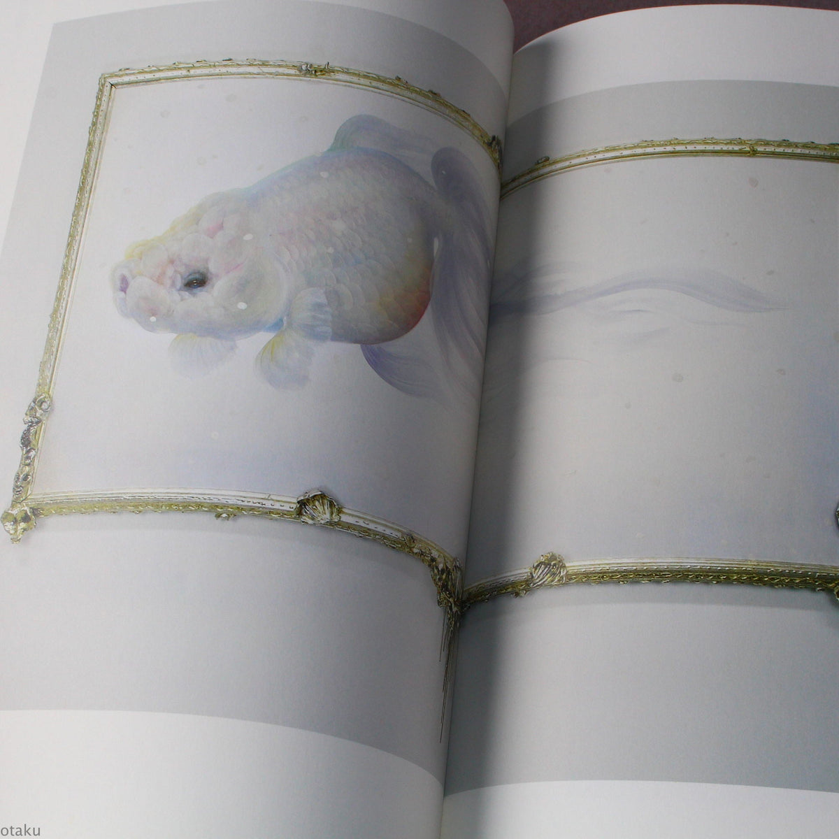 Riusuke Fukahori - Kingyo no Uta - Goldfish Art Book