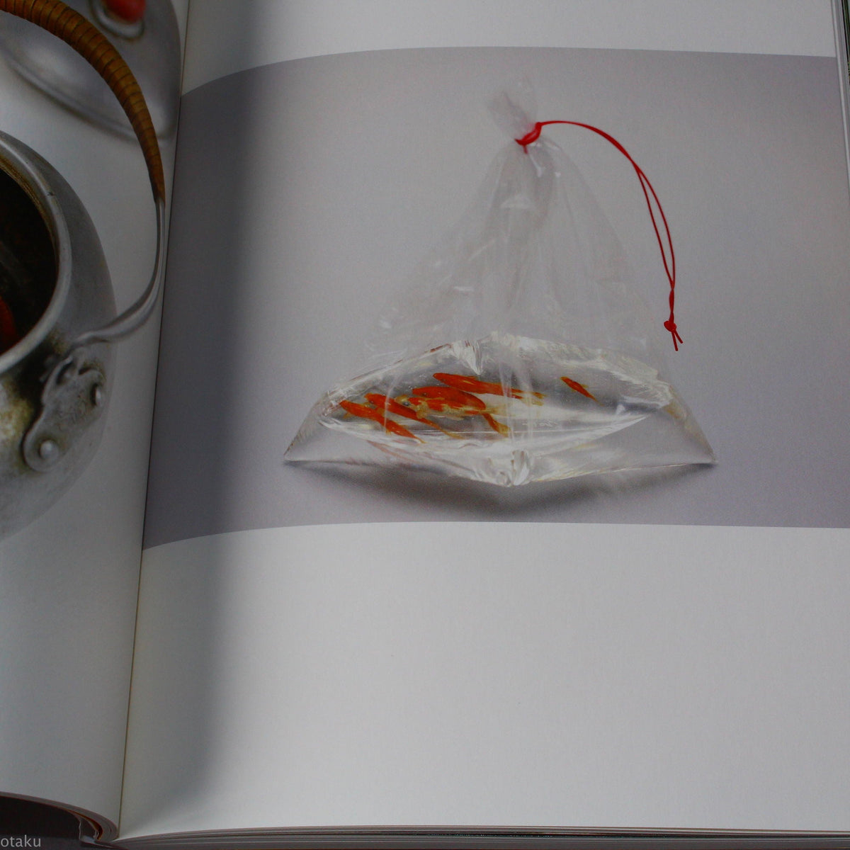 Riusuke Fukahori - Kingyo no Uta - Goldfish Art Book