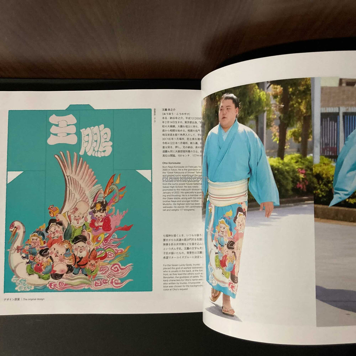 SUMO and DESIGN