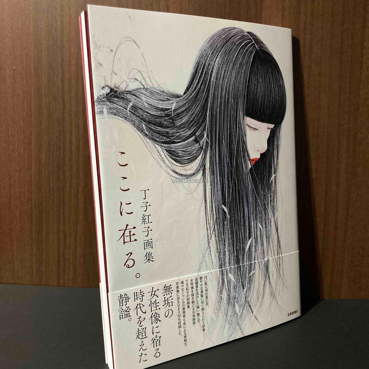Beniko Choji Artworks Koko ni Aru