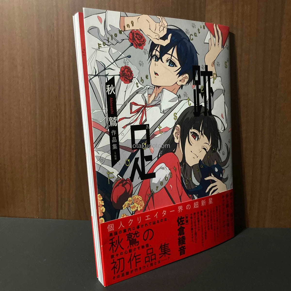 Akiwashi Footstep Art Book Ashiato