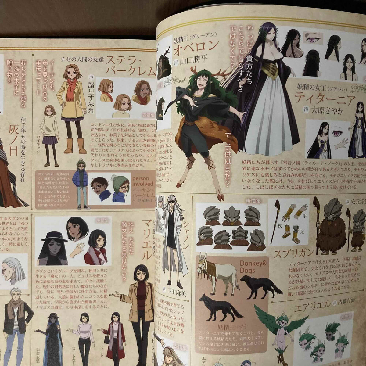 The Ancient Magus Bride Official Complete Book