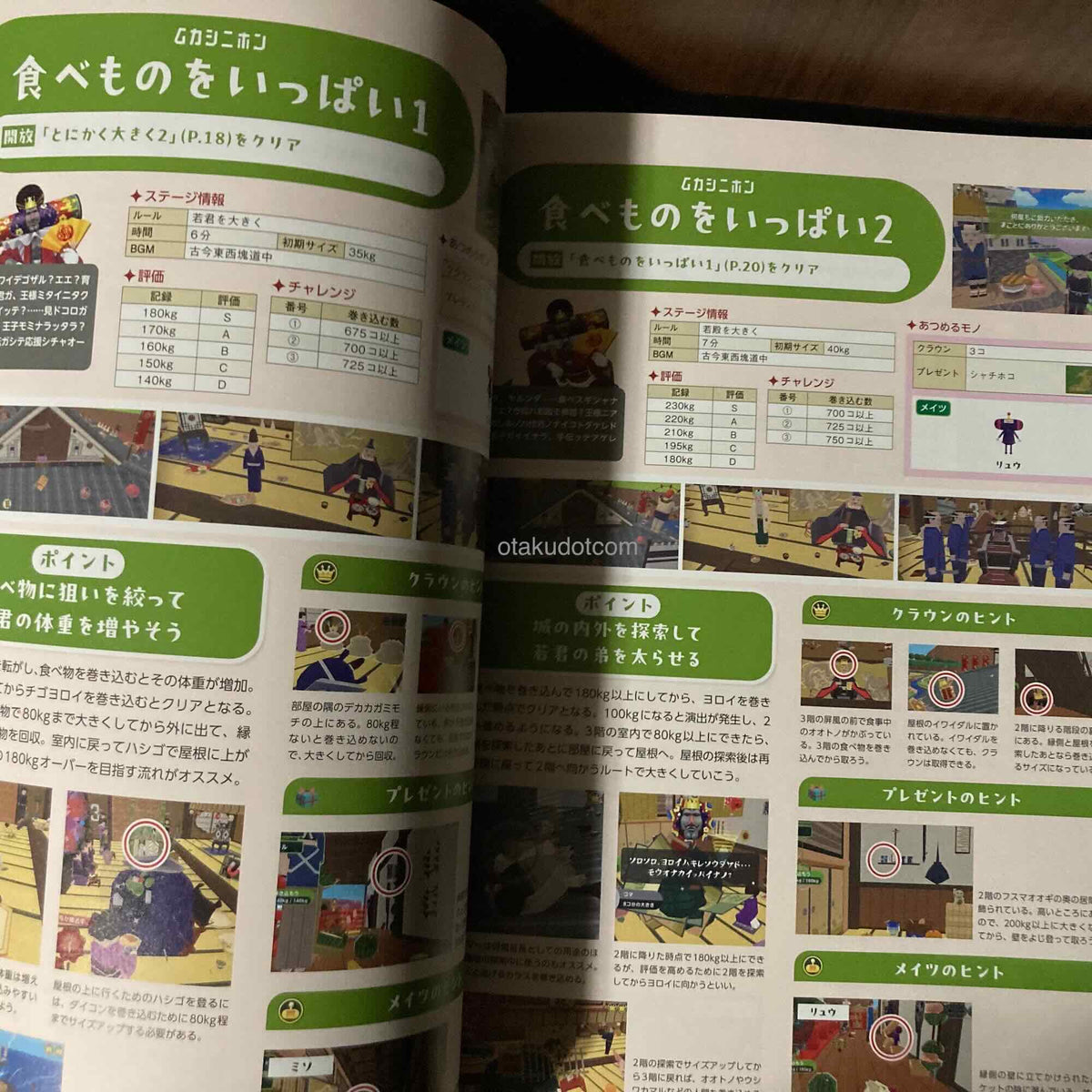 Once Upon a Katamari Guide Book
