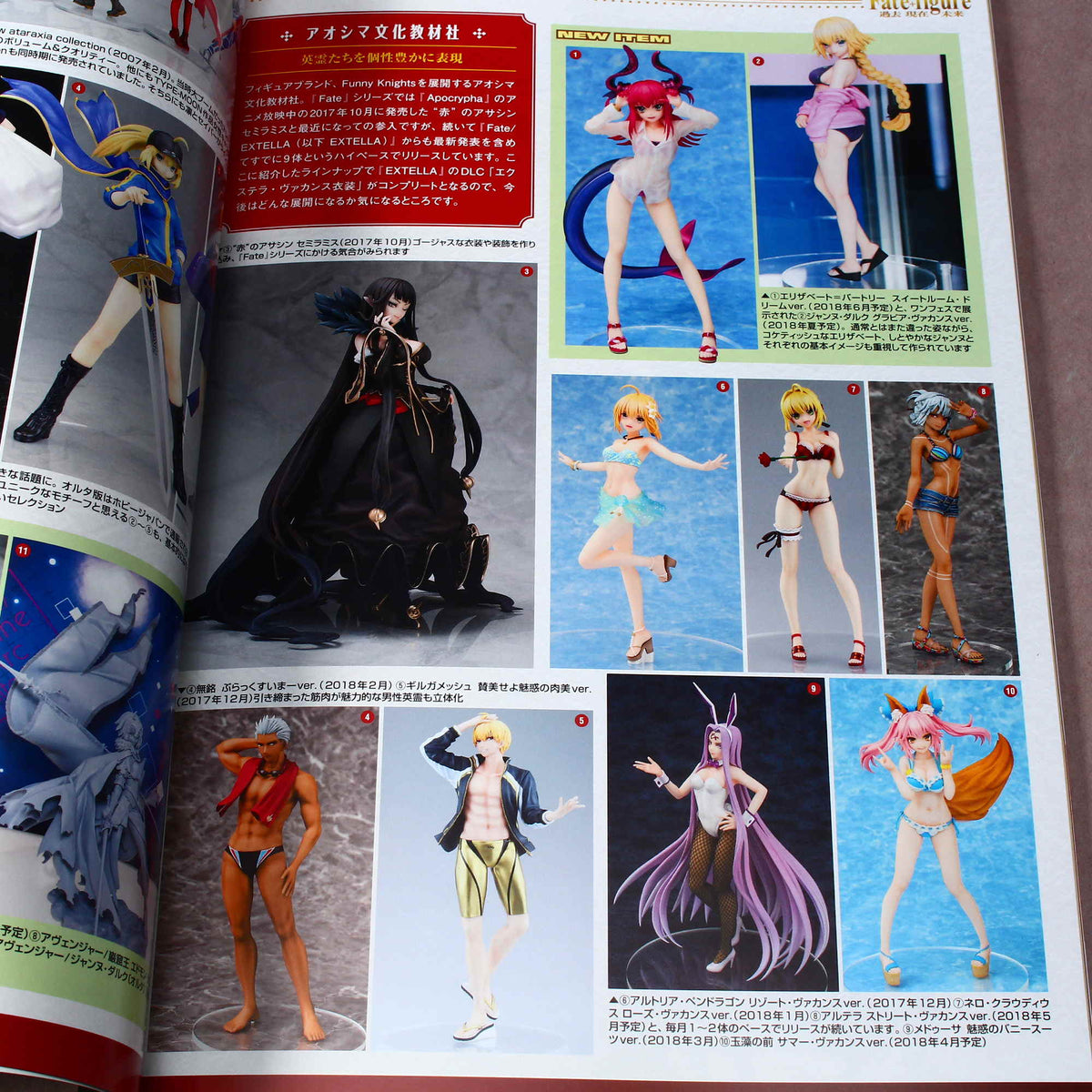 Figure Japan Maniax