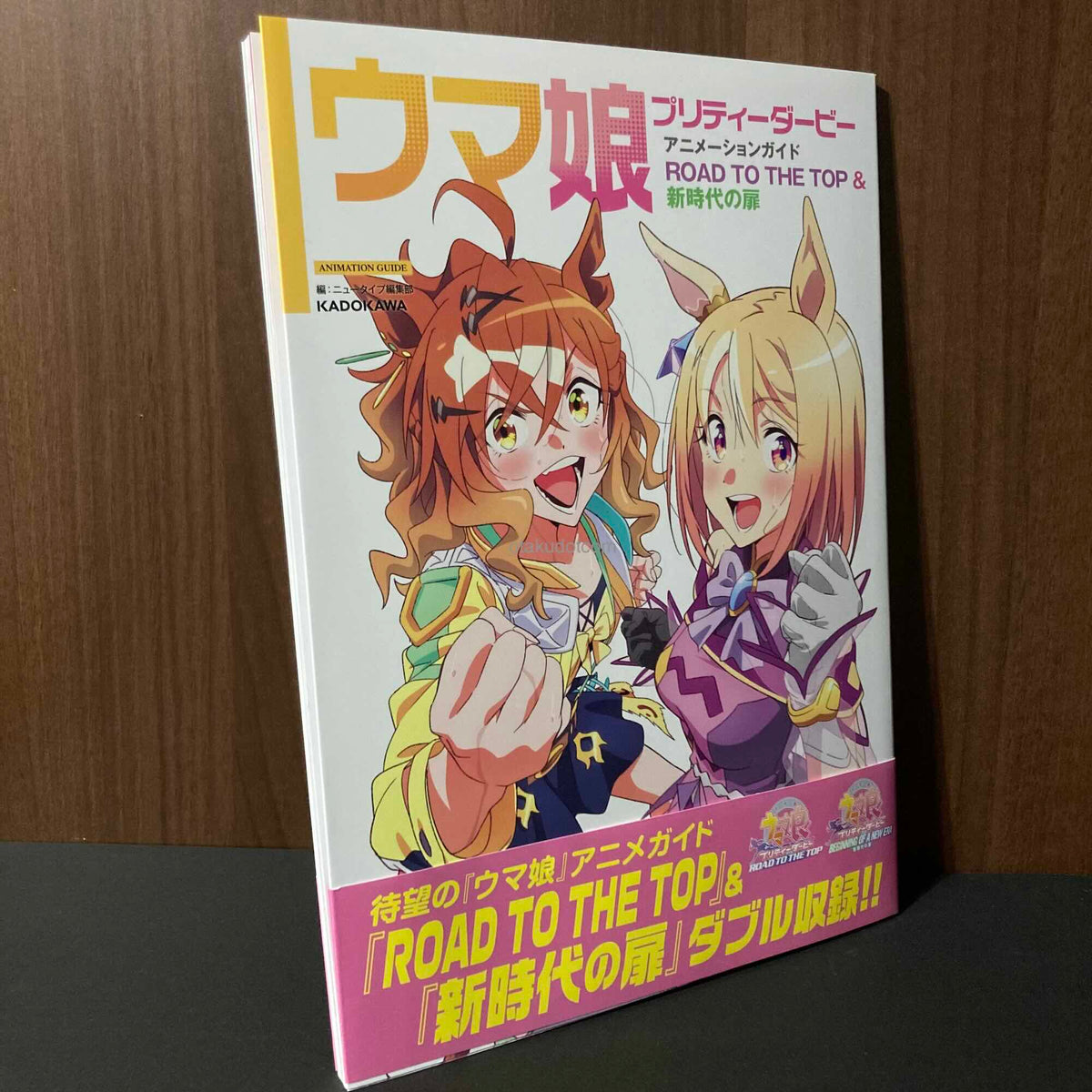 Umamusume Pretty Derby Anime Guide Book