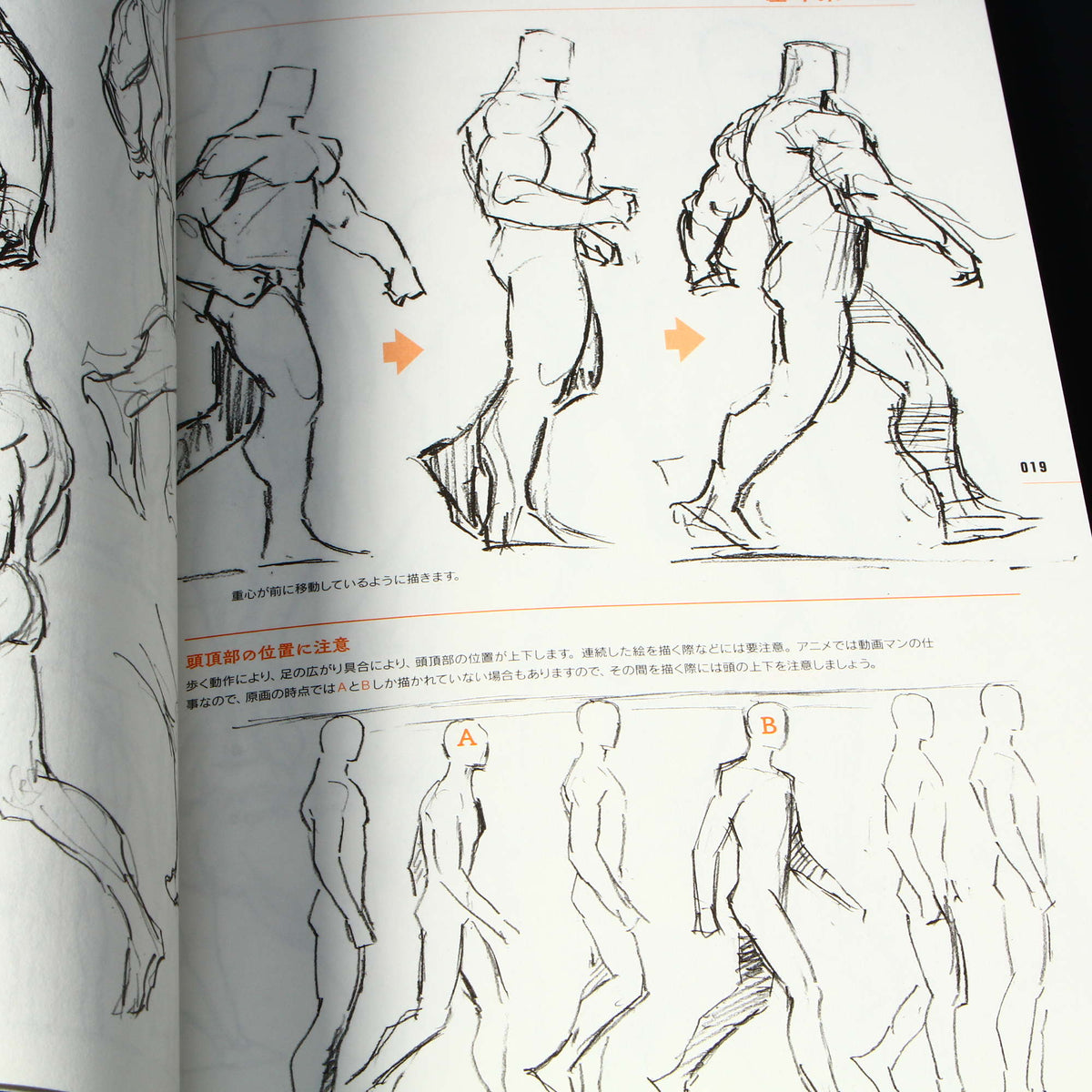 Animators Sketch Collection - Muscle Characters