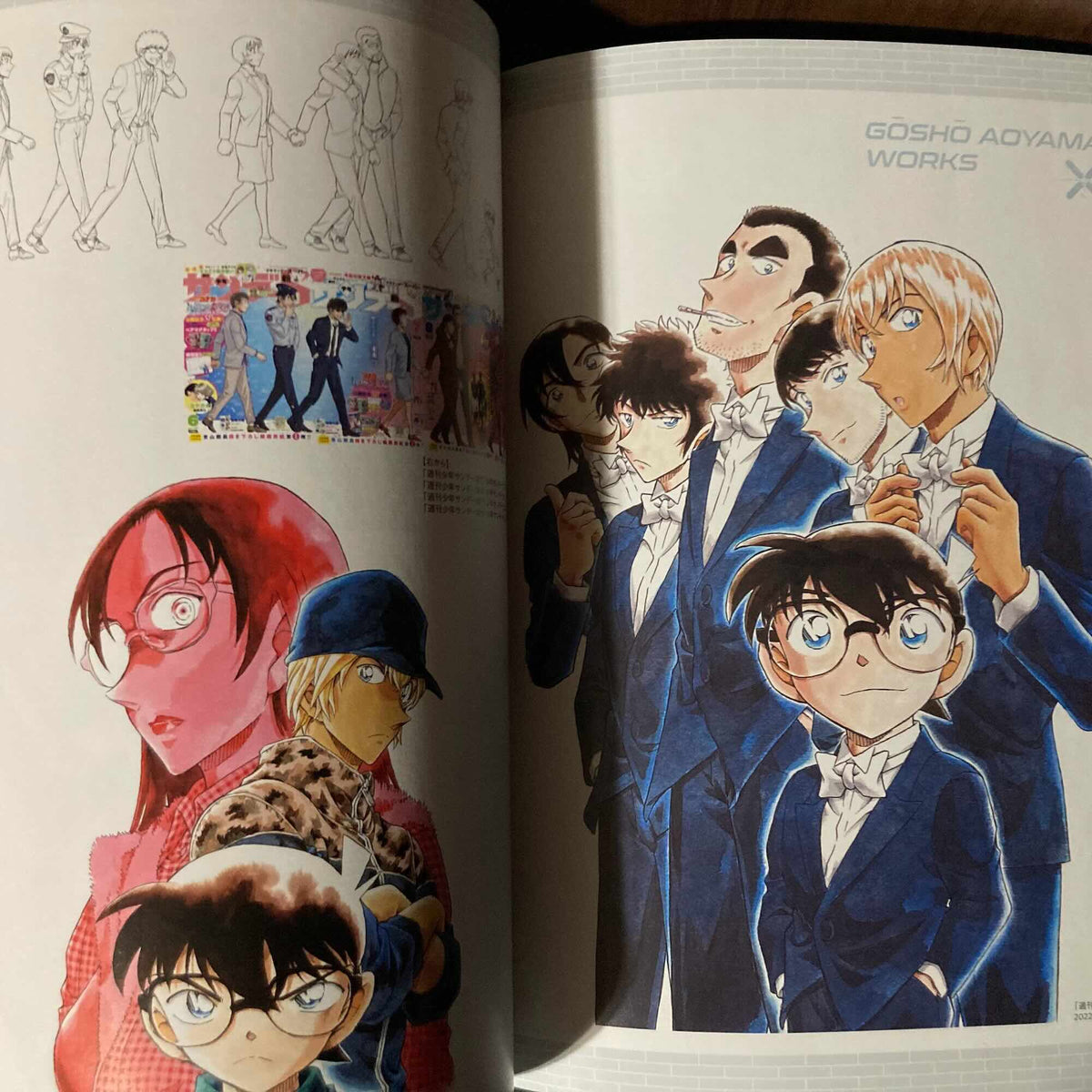 Case Closed / Detective Conan - Police Academy Secret Archives