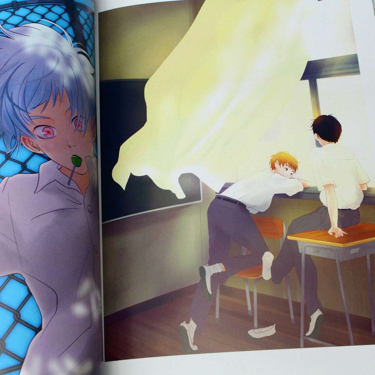 Danshi Chu Daka Sei No - Illustration Book
