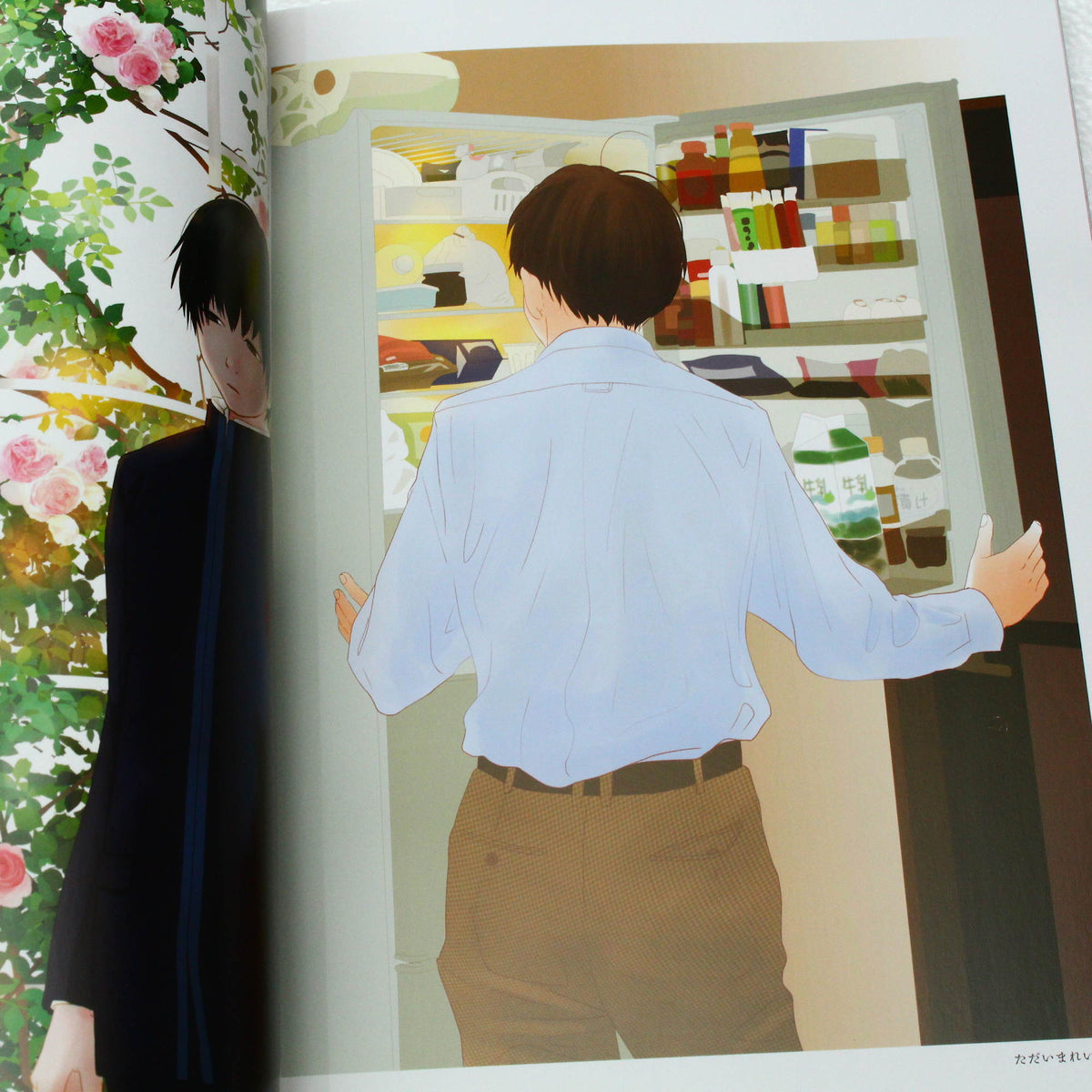 Danshi Chu Daka Sei No - Illustration Book