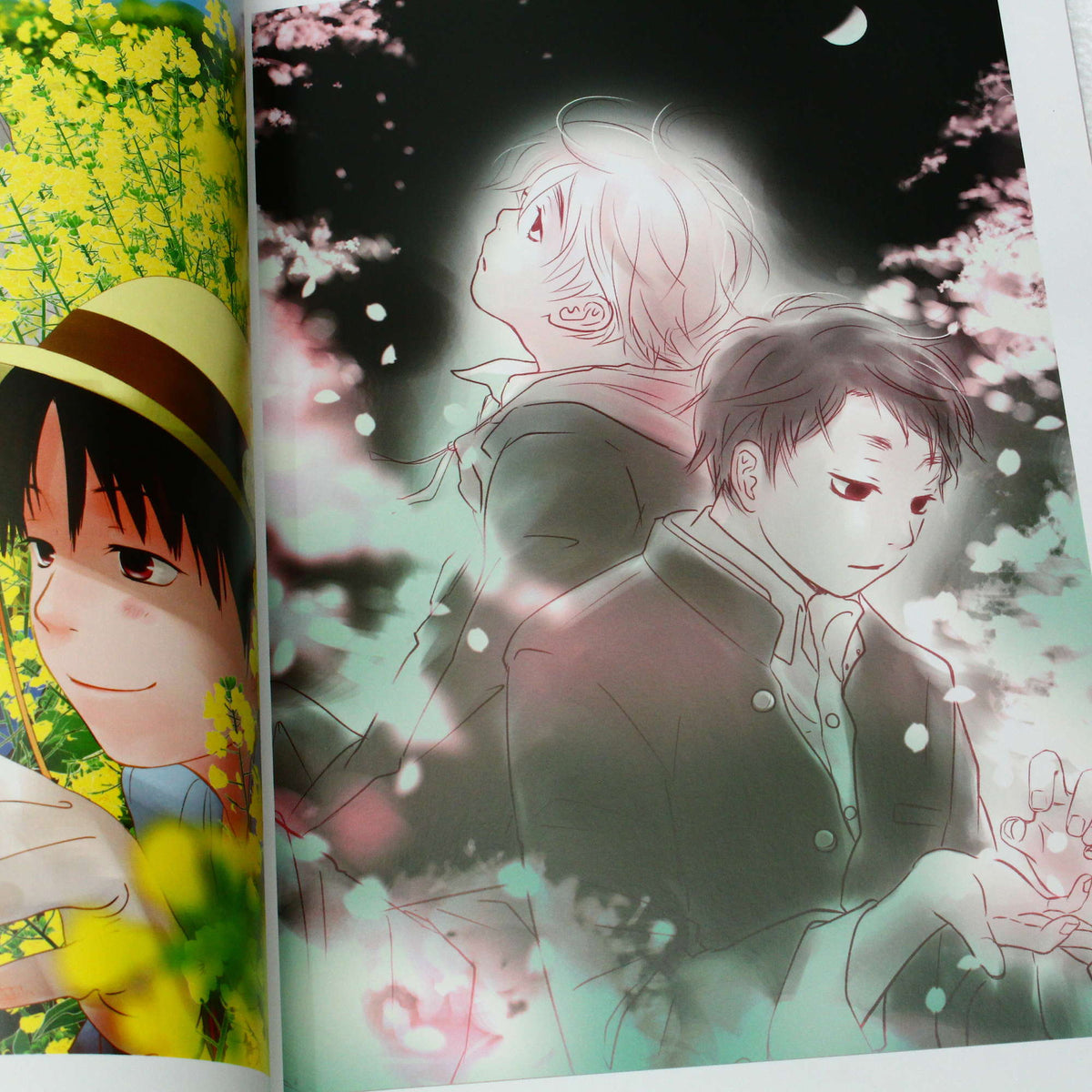 Danshi Chu Daka Sei No - Illustration Book