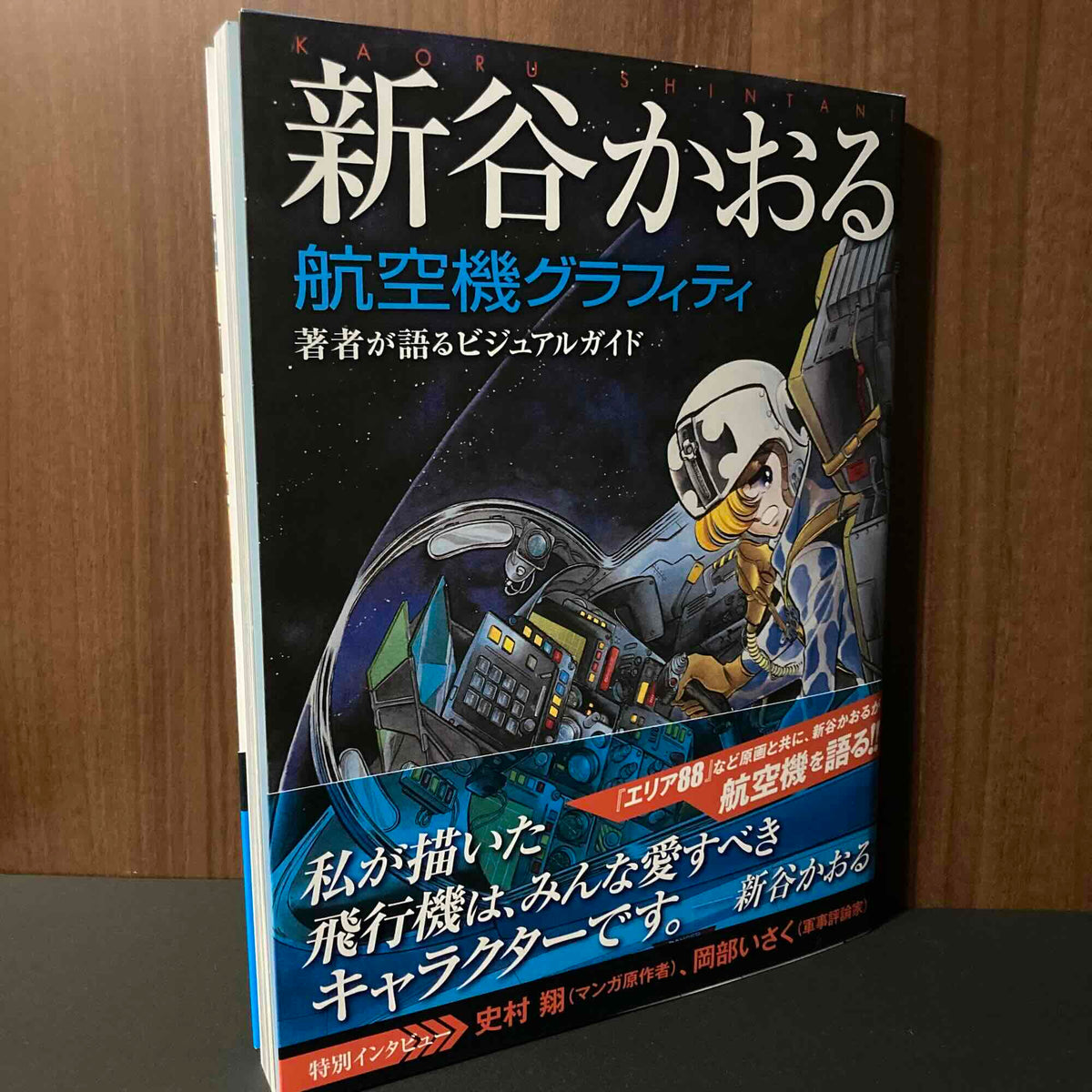 Kaoru Shintani Aircraft Graffiti