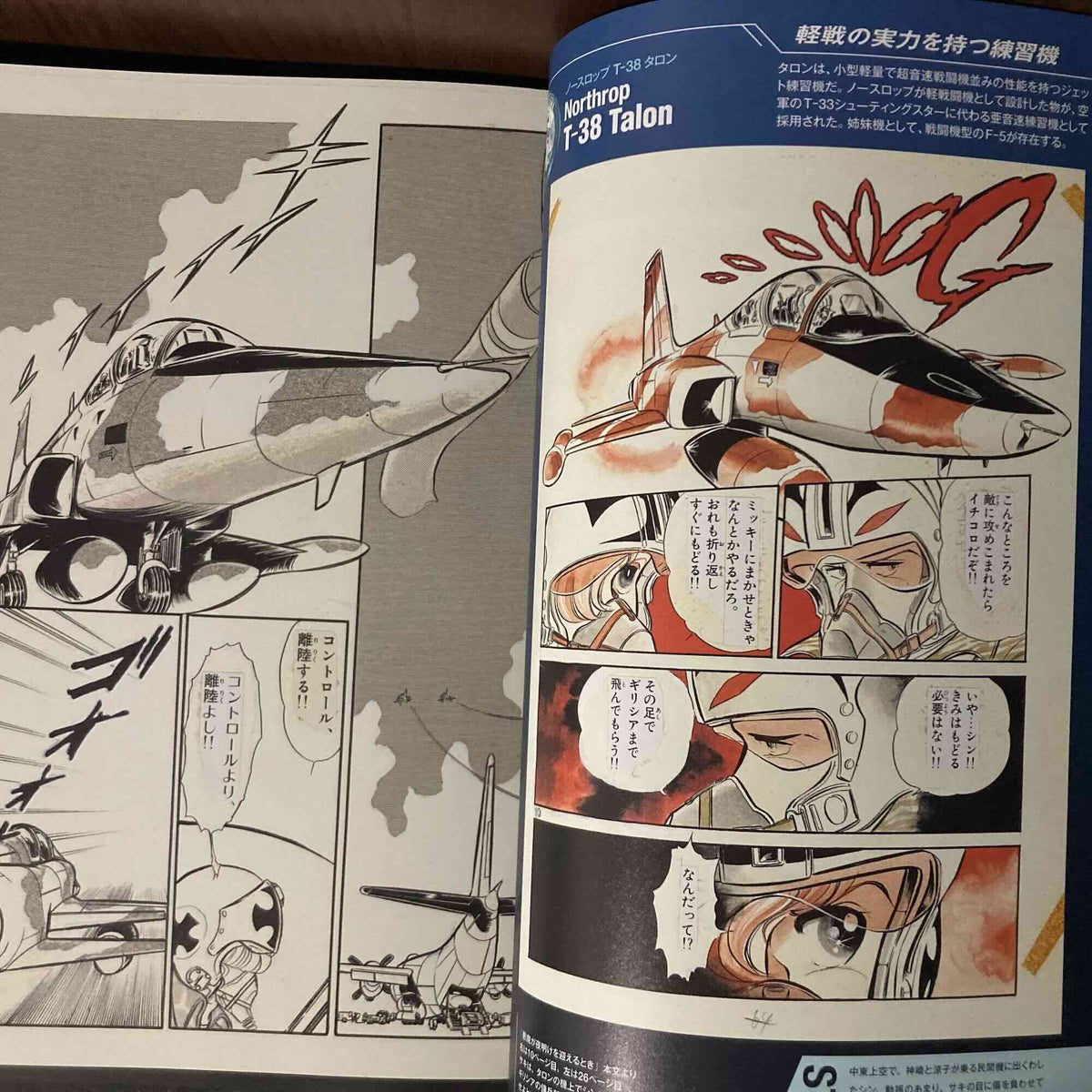 Kaoru Shintani Aircraft Graffiti