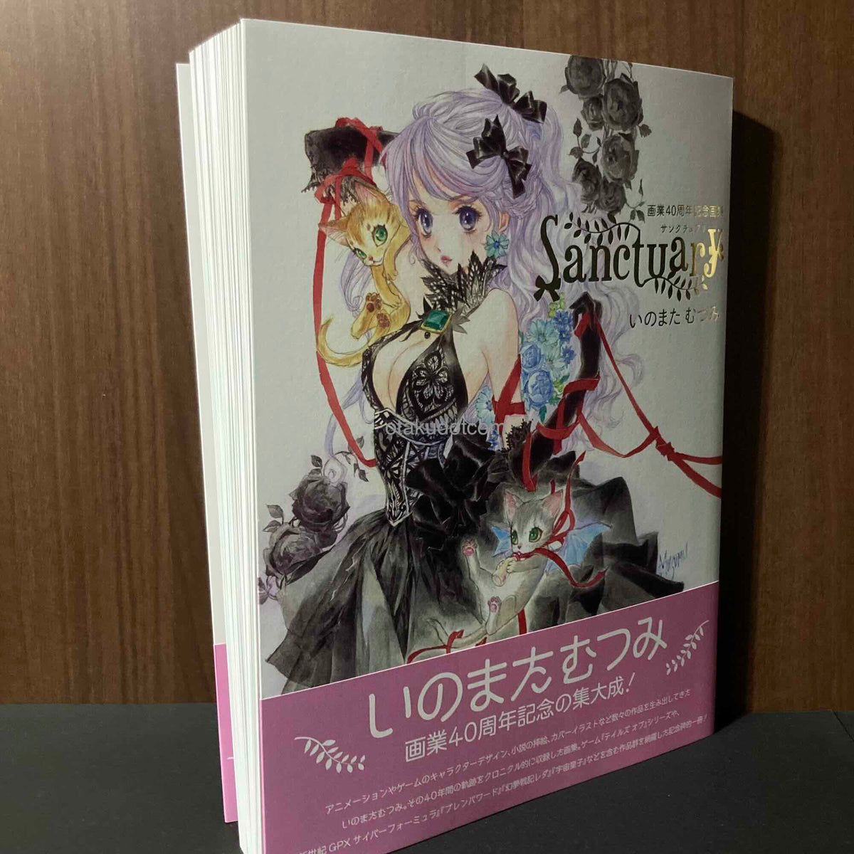 Mutsumi Inomata - Sanctuary: 40th Anniversary Artworks Collection