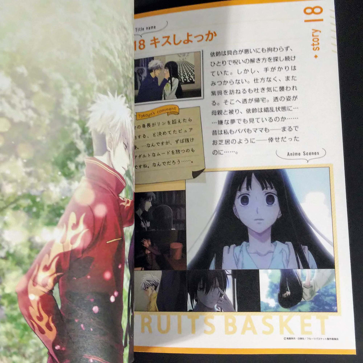 Fruits Basket Anime 2nd Season - Natsuki Takaya Illustrations