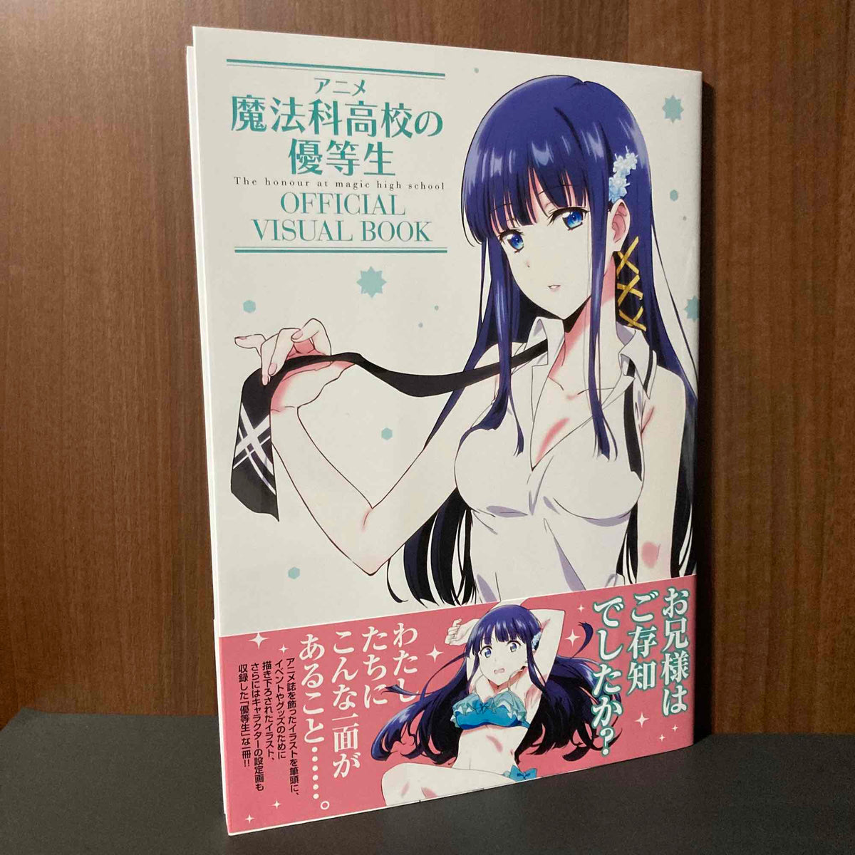 The Honour at Magic High School Official Visual Book