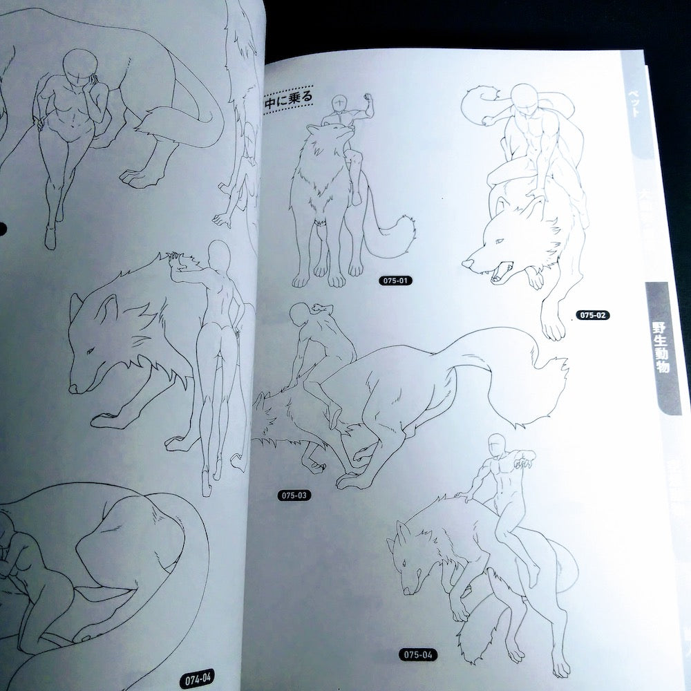 How to draw Animals and Poses