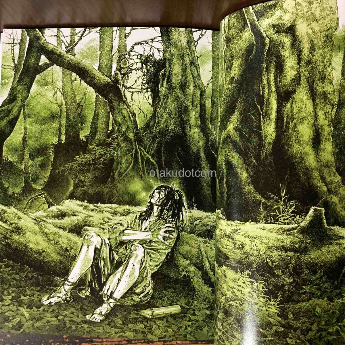 Vagabond Art Book - Sumi - Takehiko Inoue