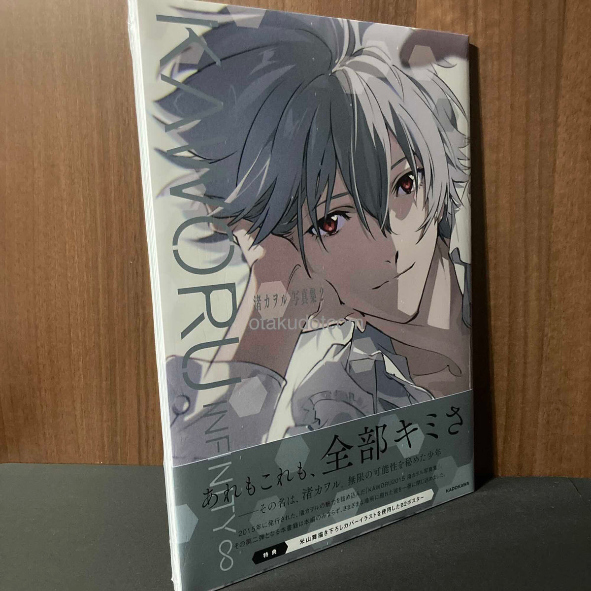 KAWORU INFINITY