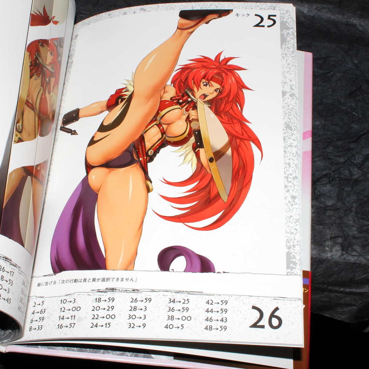 Queen's Blade Risty - Art By Hirokazu Hisayuki