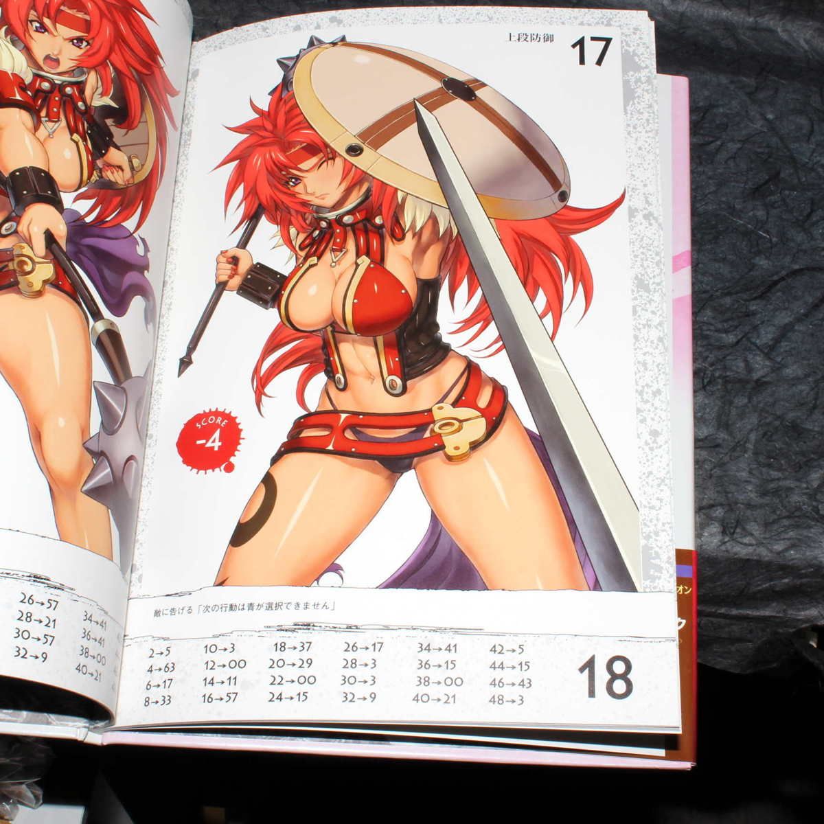 Queen's Blade Risty - Art By Hirokazu Hisayuki