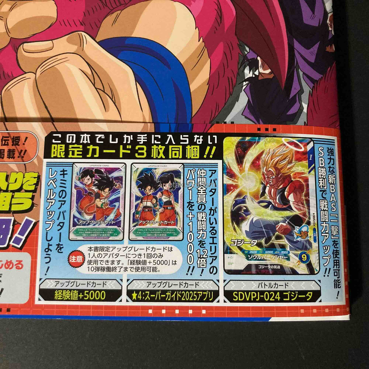 Dragon Ball Super Divers 1st Anniversary Super Guide