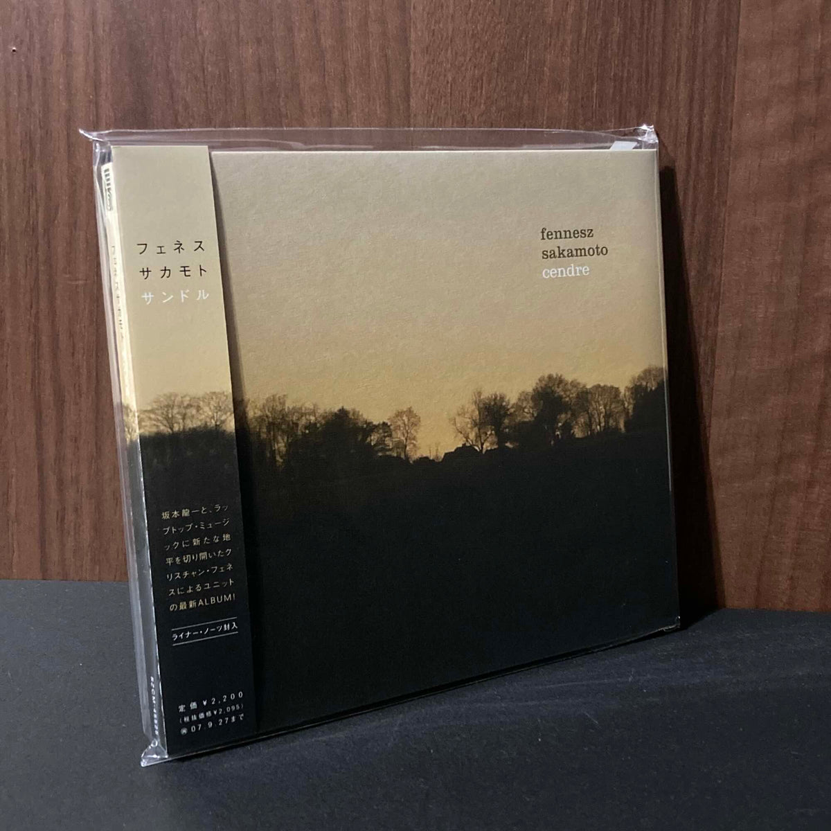 Ryuichi Sakamoto - fennesz+sakamoto / cendre