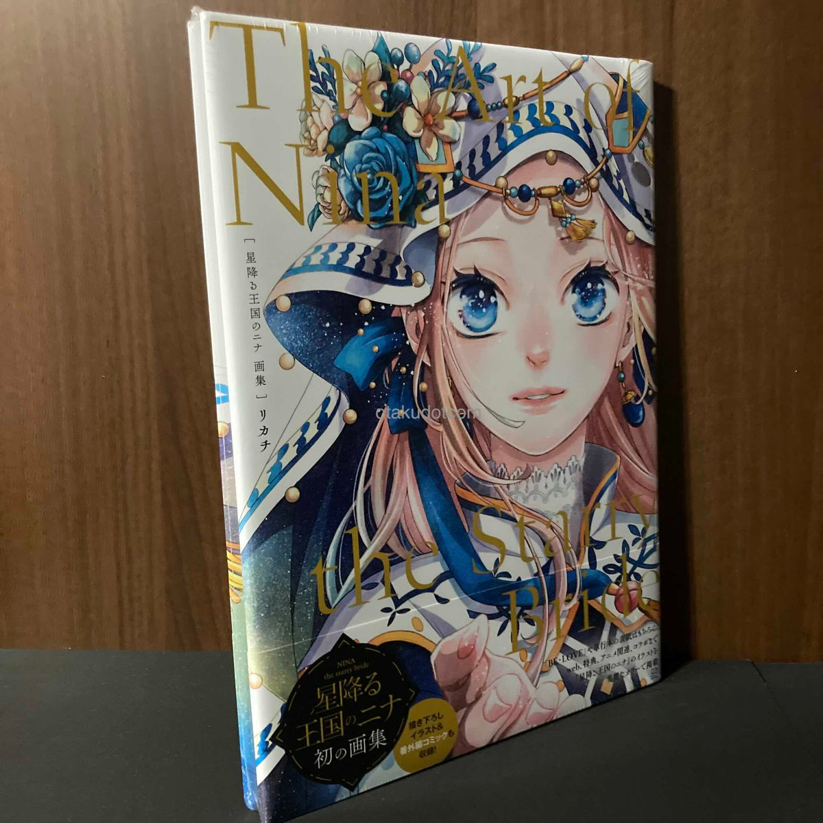 The Art of Nina the Starry Bride
