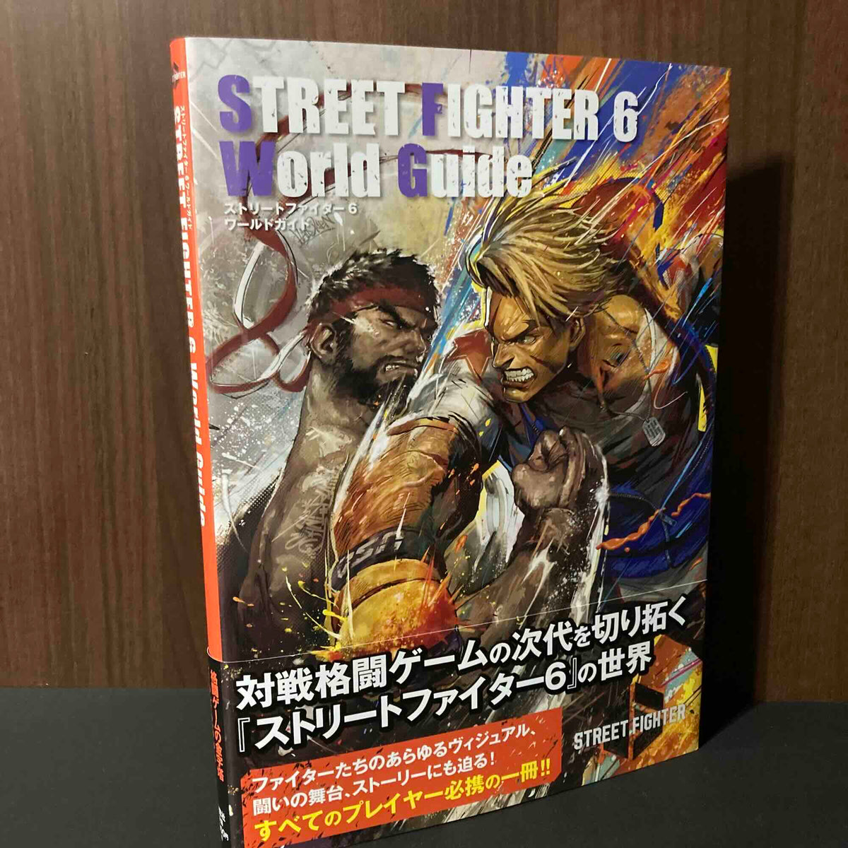 Street Fighter 6 World Guide