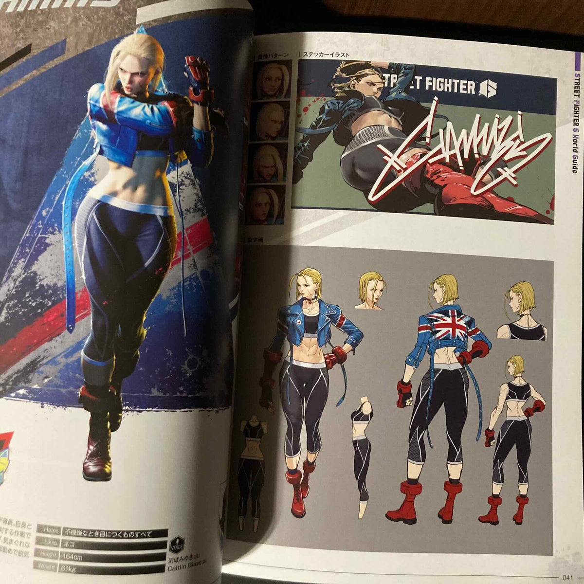 Street Fighter 6 World Guide