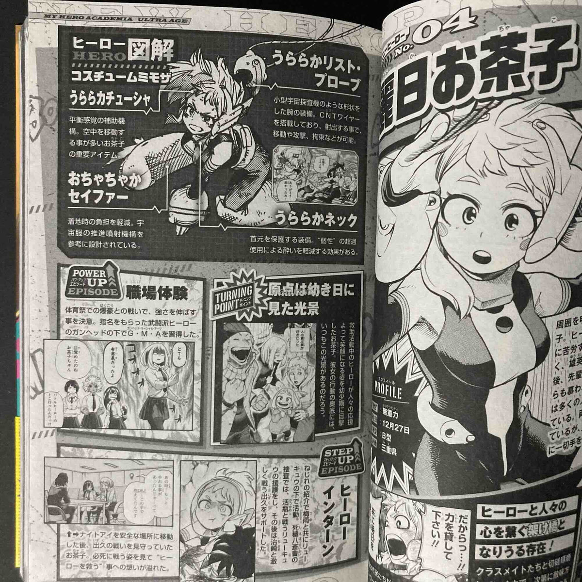 MY HERO ACADEMIA Final Fanbook Ultra Age
