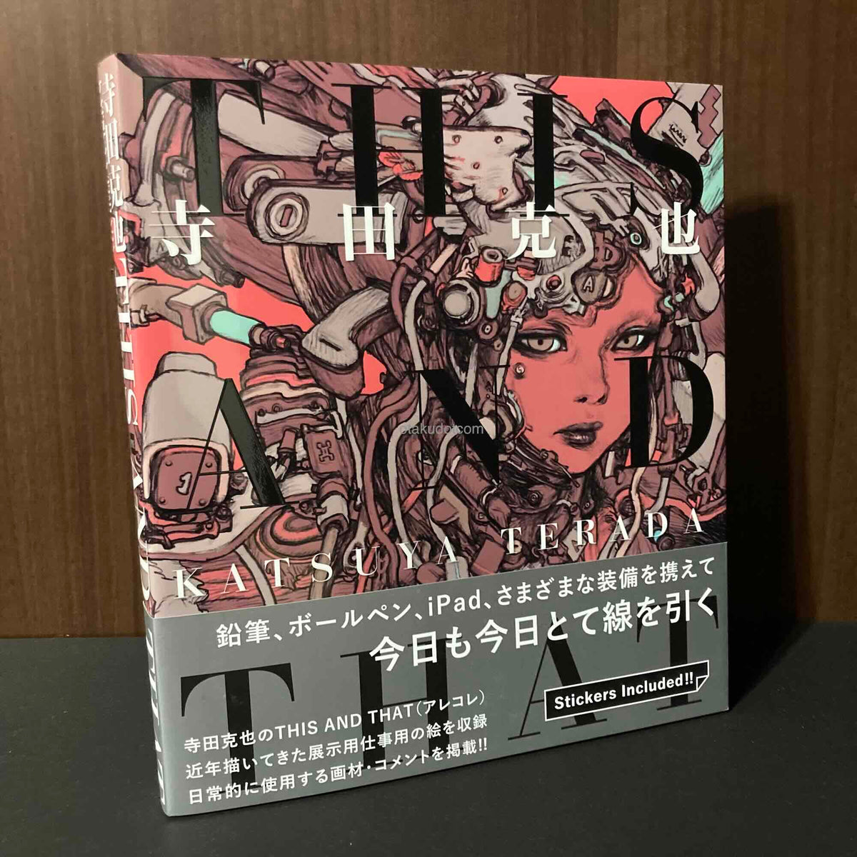 THIS AND THAT Katsuya Terada