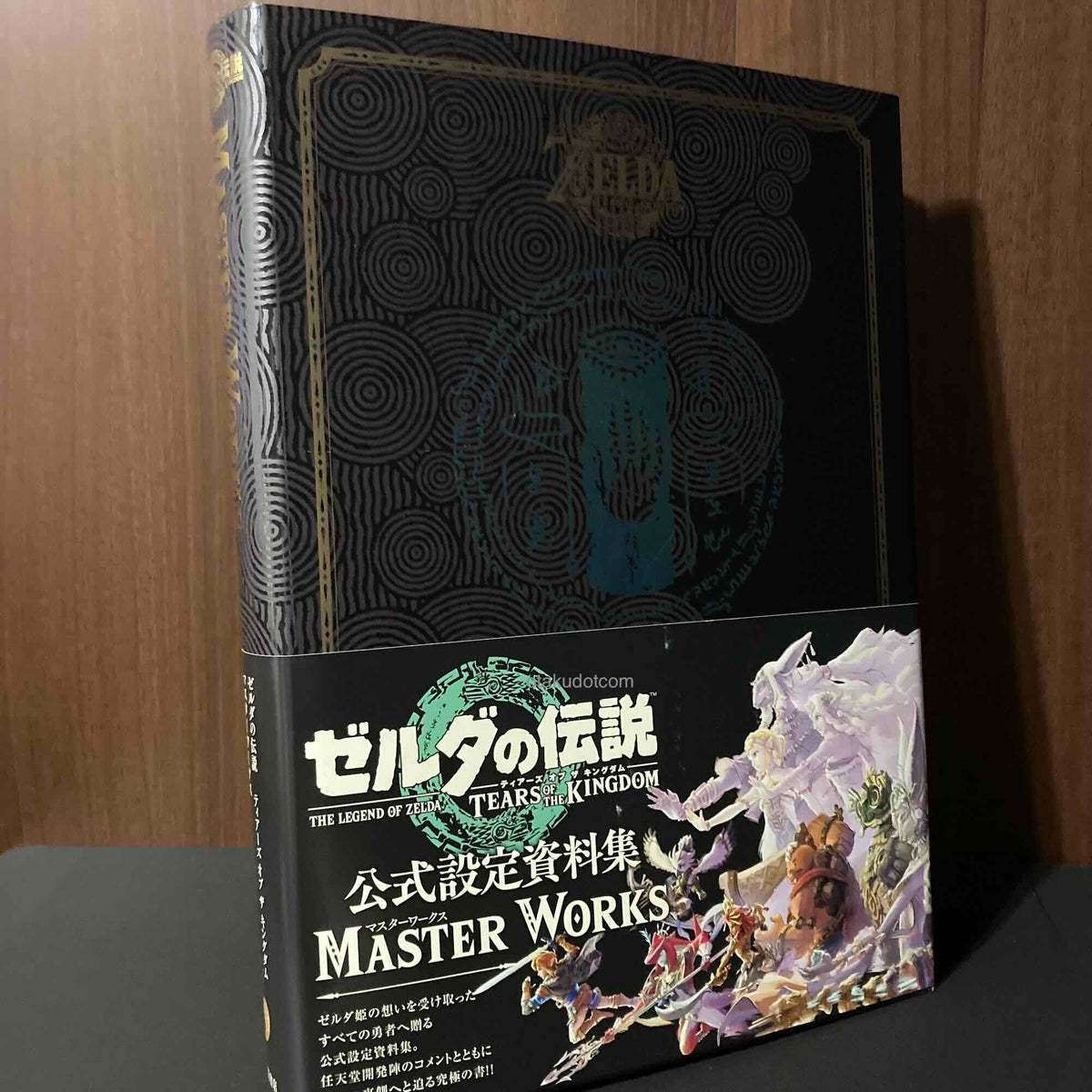 The Legend of Zelda Tears of the Kingdom Master Works