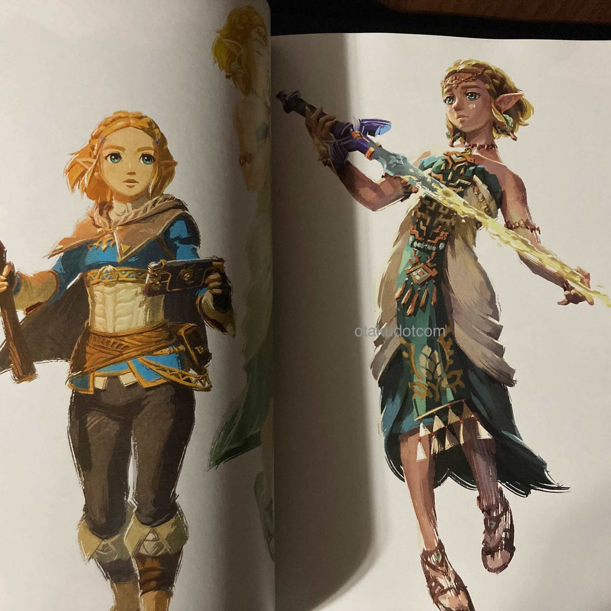 The Legend of Zelda Tears of the Kingdom Master Works