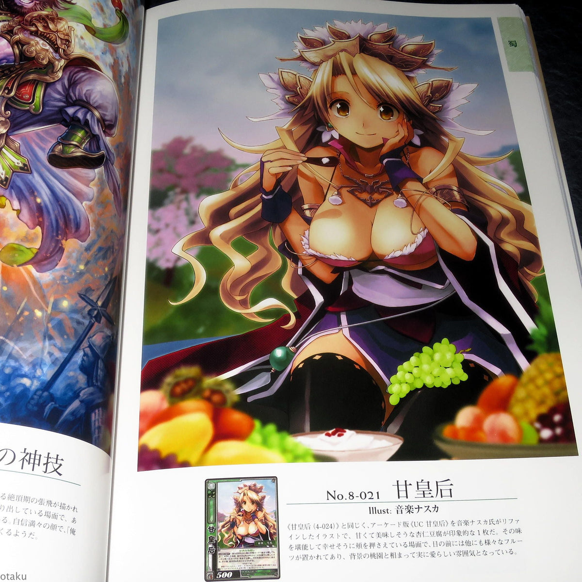 Sangokushi Taisen Trading Card Game - Visual Guide Art Book