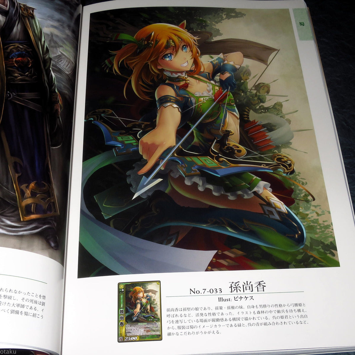 Sangokushi Taisen Trading Card Game - Visual Guide Art Book
