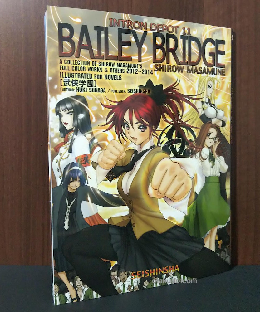 Intron Depot 11 - Bailey Bridge