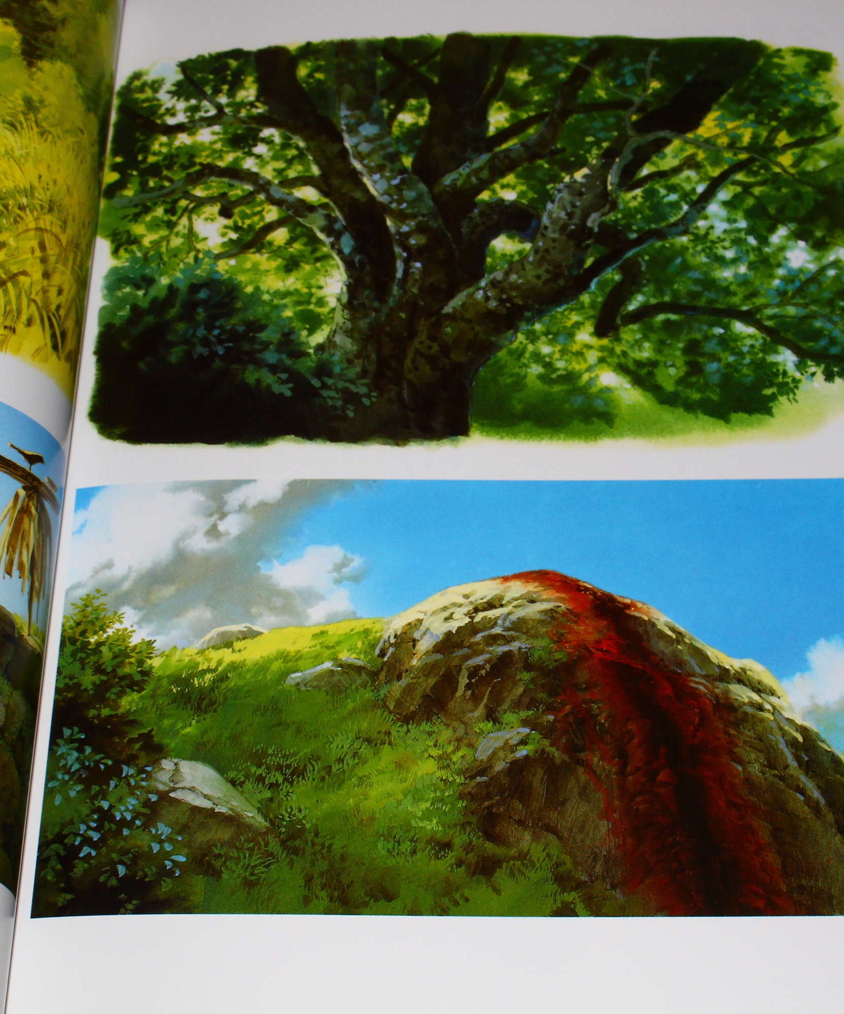 The Art of The Princess Mononoke