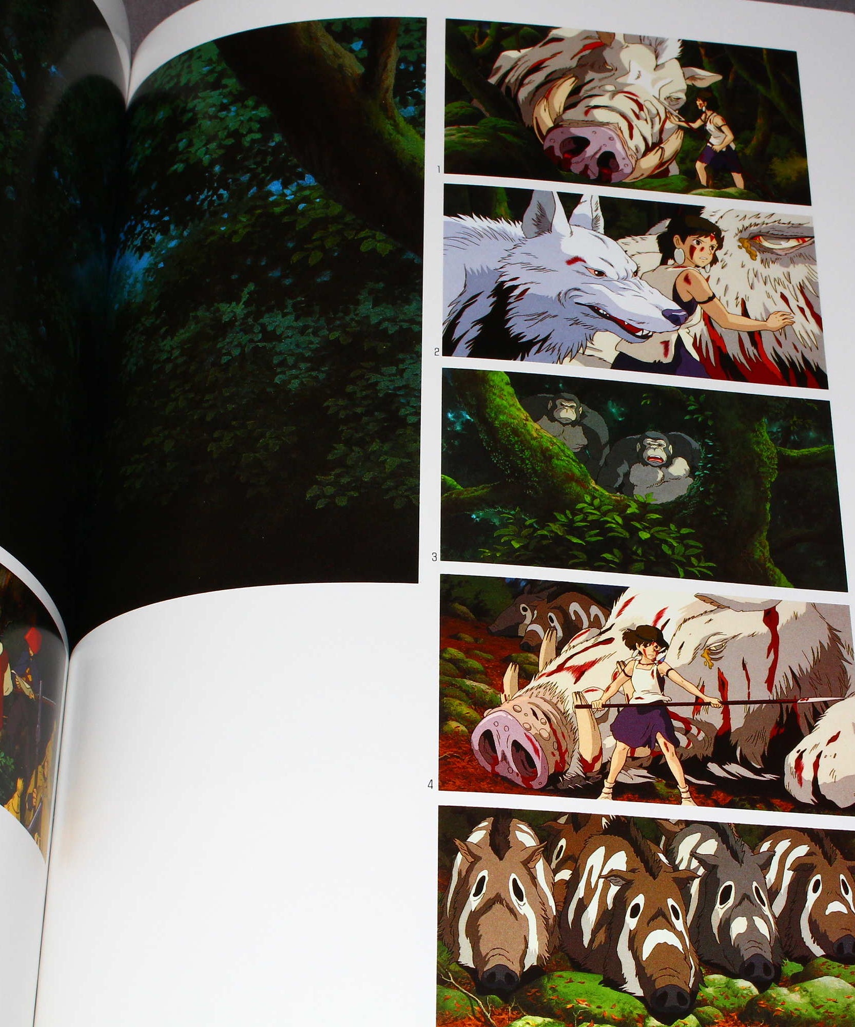 The Art of The Princess Mononoke