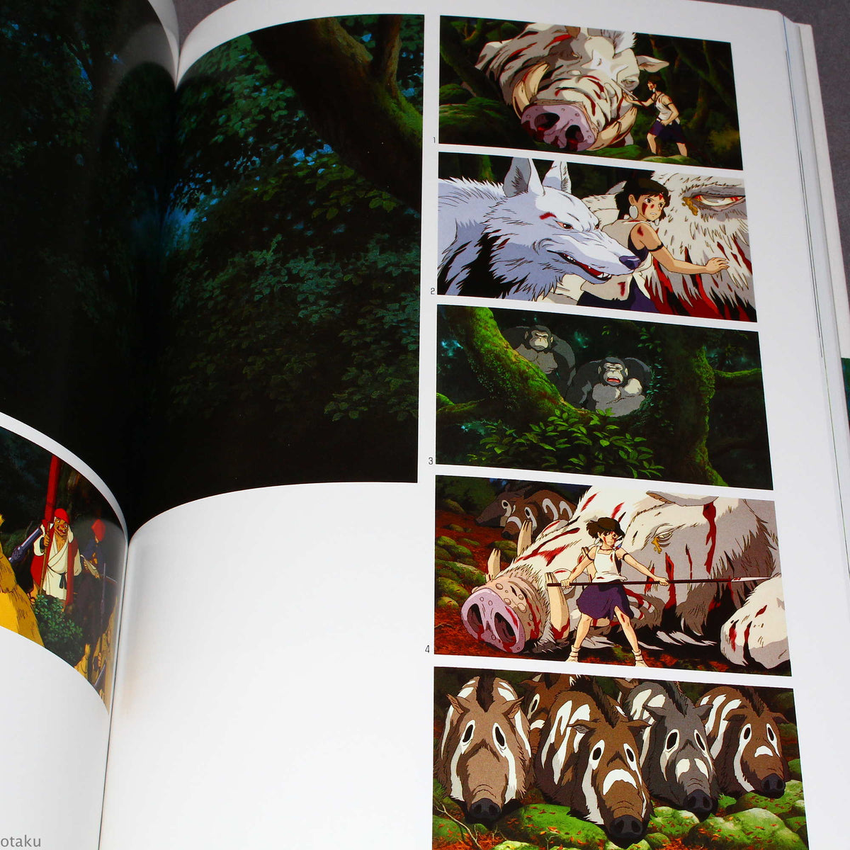 The Art of The Princess Mononoke